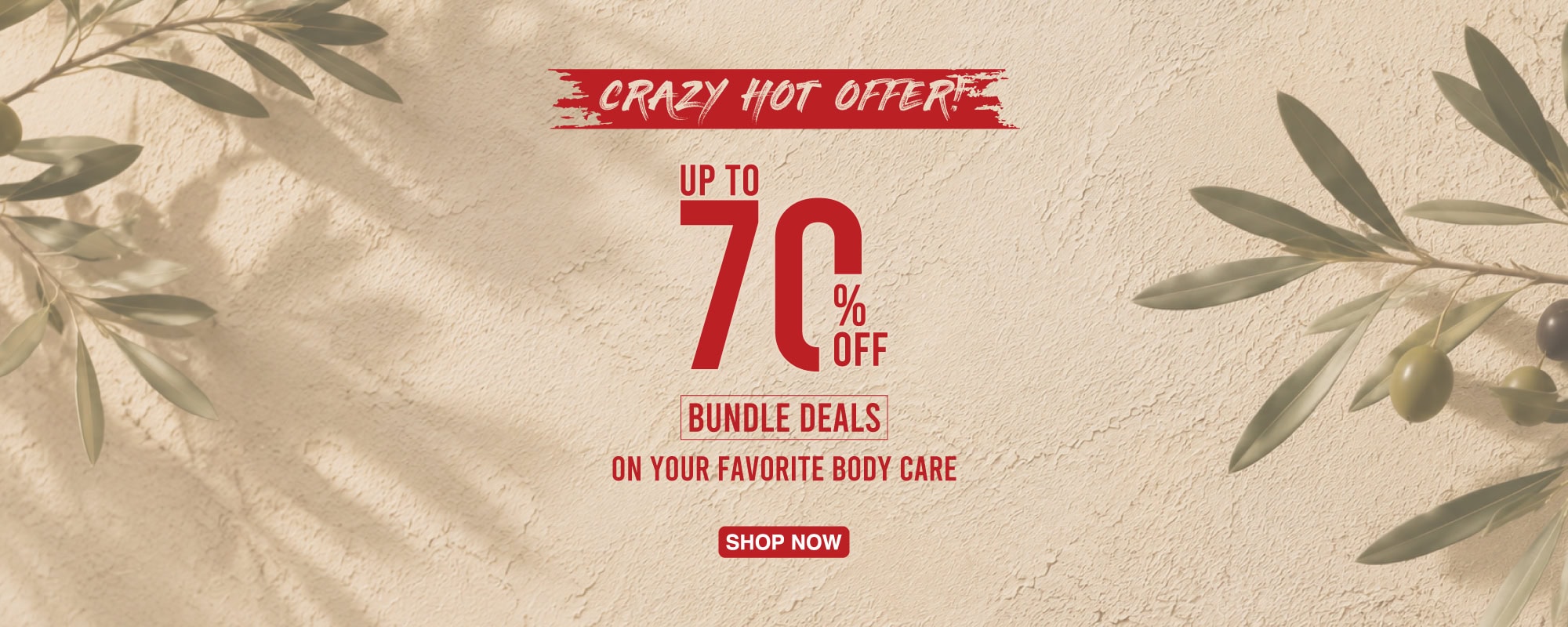 Crazy-Offer-USA